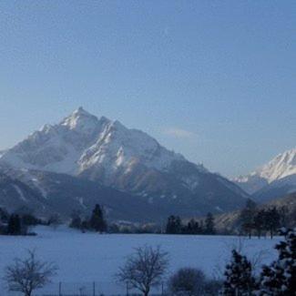 Haus Angelika - Bed & Breakfast - Innsbruck/Igls Exterior foto